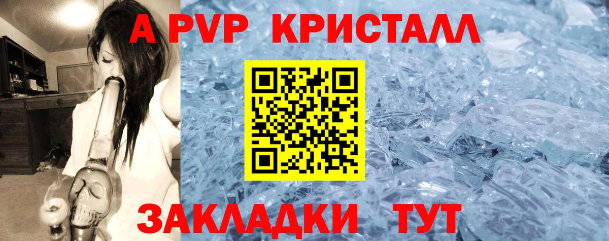 Alfa_PVP СК КРИС Ростов Великий