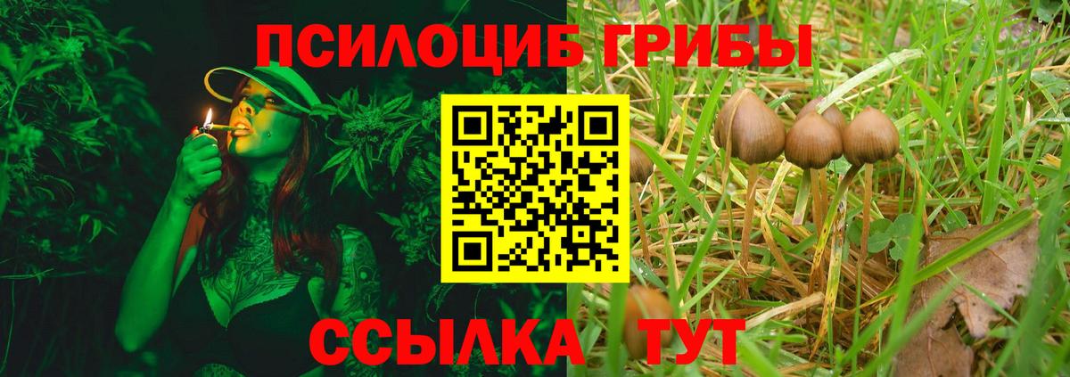 Псилоцибиновые грибы Magic Shrooms  Вход с VPN  Ростов Великий 